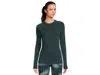Smartwool Merino 250 Base Layer Crew In Green