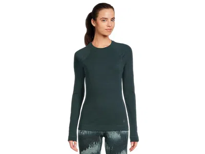 Smartwool Merino 250 Base Layer Crew
