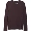 Smartwool Merino 250 Base Layer Crew Top In Brown