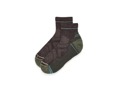 Smartwool Performance Hike Light Cushion Ankle Men's Crew Cut Socks Shoes Chestnut: Md (men's Shoe 6-8.5), Woo