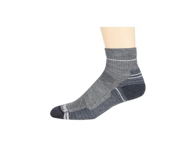 Smartwool Performance Hike Light Cushion Ankle Men's Crew Cut Socks Shoes Medium Gray: Xl (men's Shoe 12-14.5) In Brown