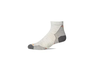 Smartwool Run Zero Cushion Ankle Socks Men's Crew Cut Socks Shoes Ash: Md (men's Shoe 6-8.5) In Gray