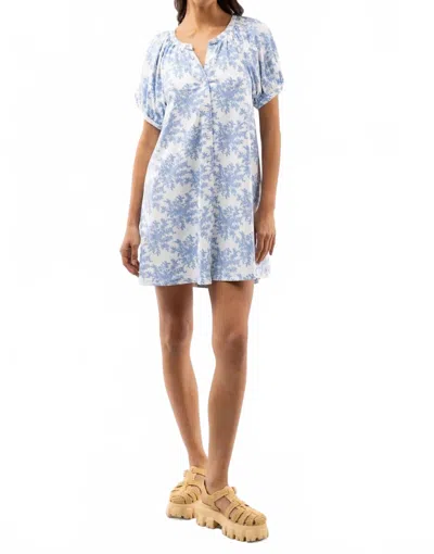 Smith & Quinn Posie Mini Dress In Rose Bushel Blue In Multi