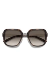 Smith Aveline 55mm Chromapop™ Polarized Square Sunglasses In Tortoise/brown Gradient