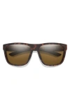 Smith Barra Glasses In Brown