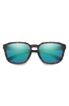Smith Contour 56mm Polarized Square Sunglasses In Tortoise/chromapop Opal