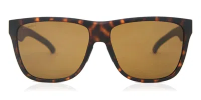 Smith Lowdown Xl 2 Hgc/l5 Men's Sunglasses Tortoiseshell Size 60 In Brown Tortoise
