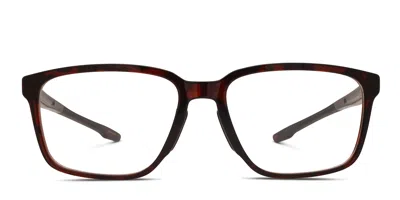 Smith Optics Basepath Brown,tortoise