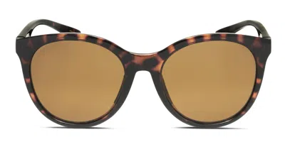 Smith Optics Smith Bayside Tortoise