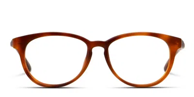 Smith Optics Smith Finley Tortoise