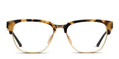 Smith Optics Smith Rewire Tortoise,gold