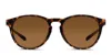Smith Optics Smith Wander Tortoise In Brown