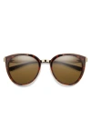 Smith Somerset 53mm Chromapop™ Polarized Round Sunglasses In Brown