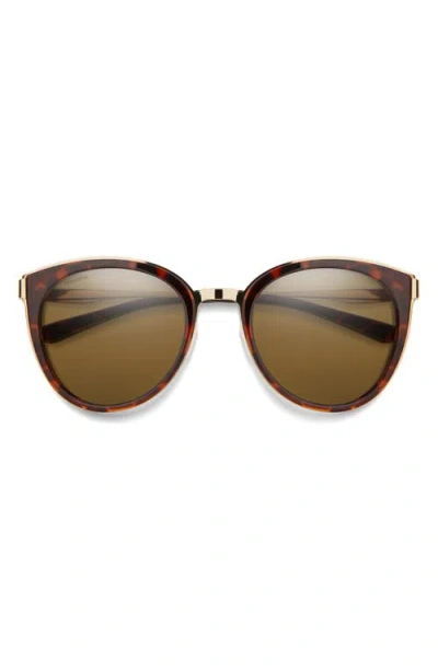 Smith Somerset 53mm Chromapop™ Polarized Round Sunglasses In Brown