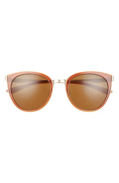 Smith Somerset 53mm Polarized Cat Eye Sunglasses In Amber/polarized Brown