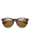 Smith Wander 55mm Chromapop™ Polarized Round Sunglasses In Tortoise/brown