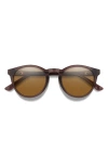 Smith Eastbank 52mm Chromapop™ Polarized Round Sunglasses In Rosewood Crystal/brown