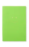 Smythson Chelsea Notebook In Panama In Green