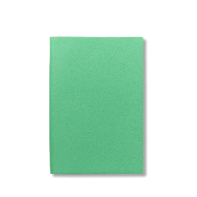 Smythson Chelsea Notebook In Panama In Shamrock