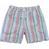 Snapper Rock 4 Way Stretch Swim Short In Blue