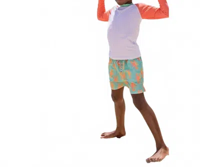 Snapper Rock Kids' Boys Coastal Shells Sustainable Swim Shorts In Blue In Green