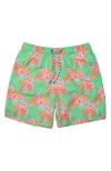 Snapper Rock Comfort Lined Sustainable Swim Short In Green