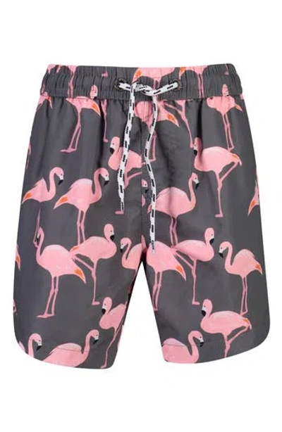 Snapper Rock Kids'  Flamingo Social Swim Trunks In Grey/salmon