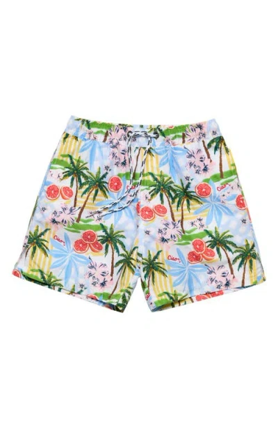 Snapper Rock Kids' Ciao Paradiso Upf 50+ Swim Trunks In Blue