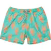 Snapper Rock Boys' Ocean Clawed Swim Short - Little Kid, Big Kid In Green