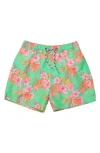 Snapper Rock Boys' Coastal Shells Sustainable Swim Short - Little Kid, Big Kid In Green