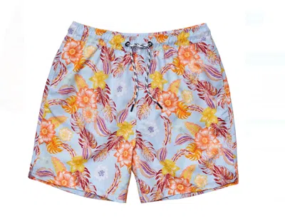 Snapper Rock Mens' Sustainable Board Shorts In Boho Tropical In Blue