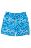 Snapper Rock Printed Swim Shorts In Blue