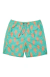 Snapper Rock Printed Swim Shorts In Green