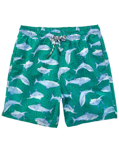 Snapper Rock Reef Shark Swim Short In Green