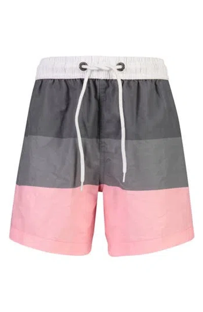 Snapper Rock Kids'  Salmon Stripe Swim Trunks In Grey/white