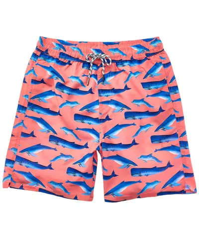 Snapper Rock Whale Tail Swim Short In Orange