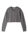 Snidel Basic Compact Sheer Cardigan In Multi