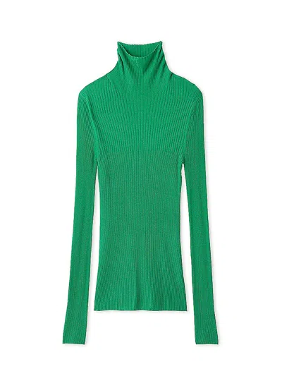 Snidel Simple Sheer Long Sleeve Turtle Neck Knit Top