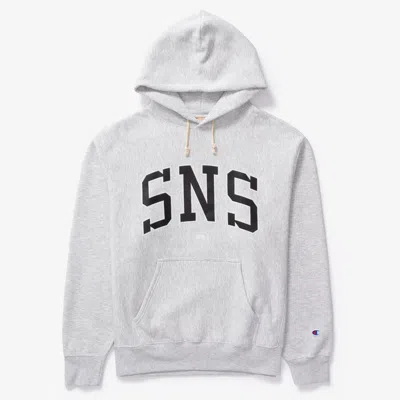 Sns Hoodie In Gray