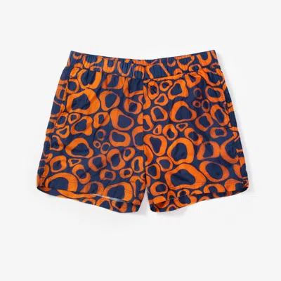 Sns Swim Shorts In Multi
