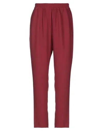 Soallure Pants In Maroon