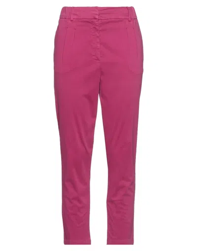 Soallure Pants In Purple
