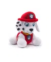 Soapsox Paw Patrol Marshall Bath Toy Sponge In Red,white
