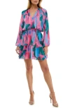 Socialite Long Sleeve Smocked Minidress
