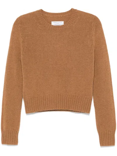 Société Anonyme Olga Sweater In Brown