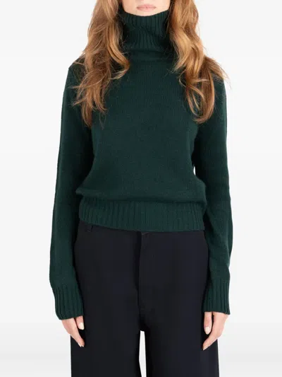 Société Anonyme Reese Roll-neck Sweater In Green