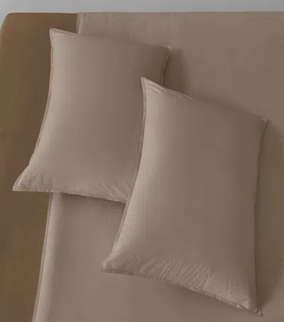 Society Limonta Cotton Nite Pillowcase Pair In Brown