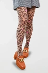 Sock Candy Pink Pop Leopard Print Sheer Tights In Brown, Women's At Urban Outfitters In Brown