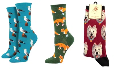Socksmith Women's Gull-able & Socksy Foxes & Westies Socks - Set Of 3 Pair In Multi In Blue