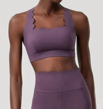 Sodalemon Scallop Sport Bra In Dark Plum In Purple
